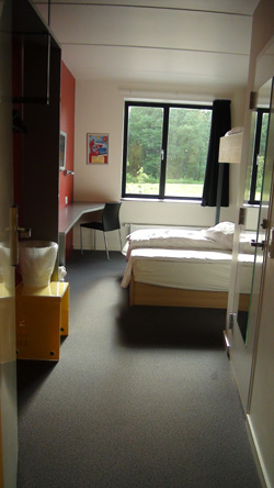 110724_8.jpg