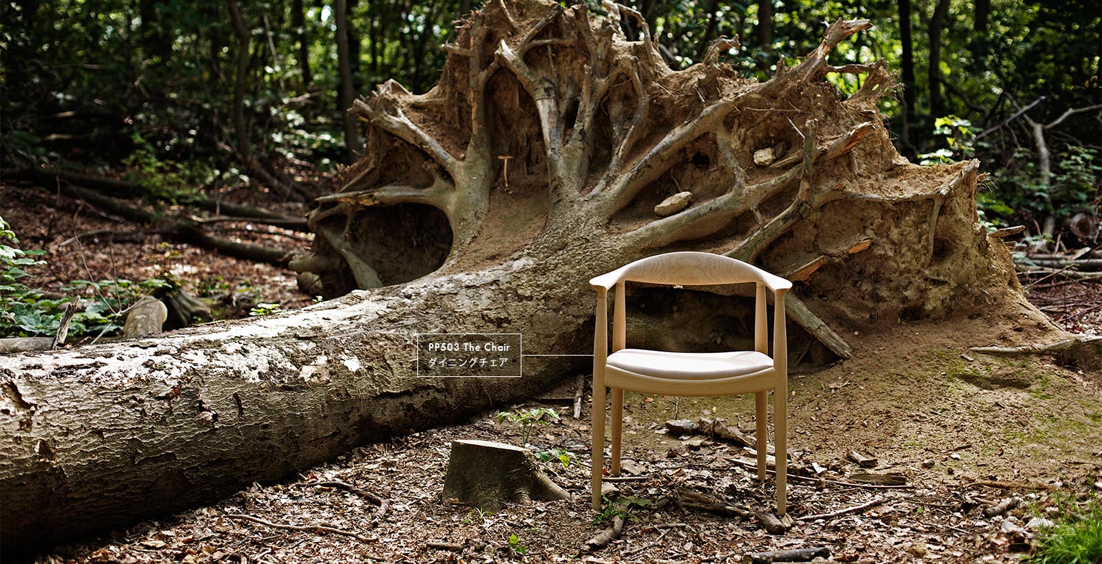 PP503 The Chairのある風景
